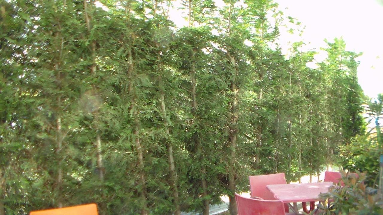 Shkoder Hotel Temali 外观 照片
